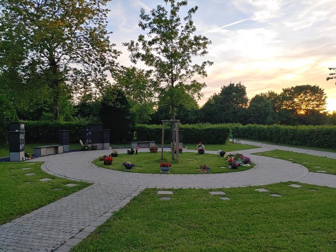 Baum-Urnengrab mit Sonnenuntergang